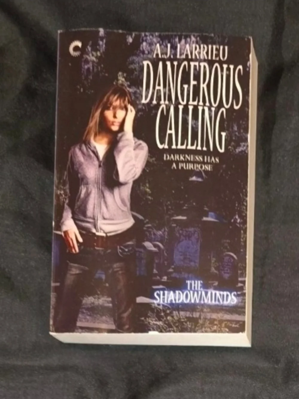 (4 For $20) Dangerous Calling By A.J. Larrieu Paperback